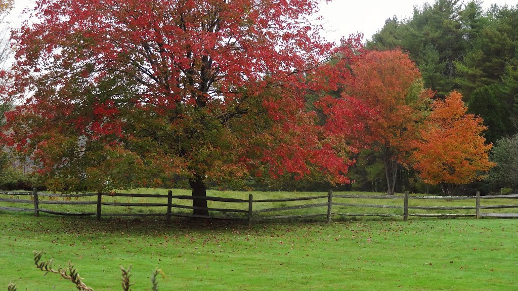 Fall pasture; Bartol Island Rd., Freeport, Maine, Фрипорт
