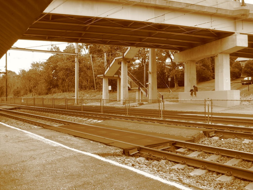 Hallethorpe Station, Арбутус