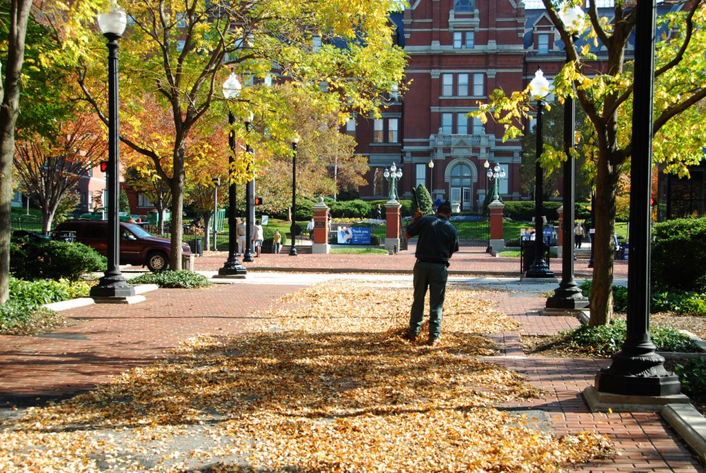 Cleaning Autumn Leaves, Johns Hopkins Hospital, Балтимор