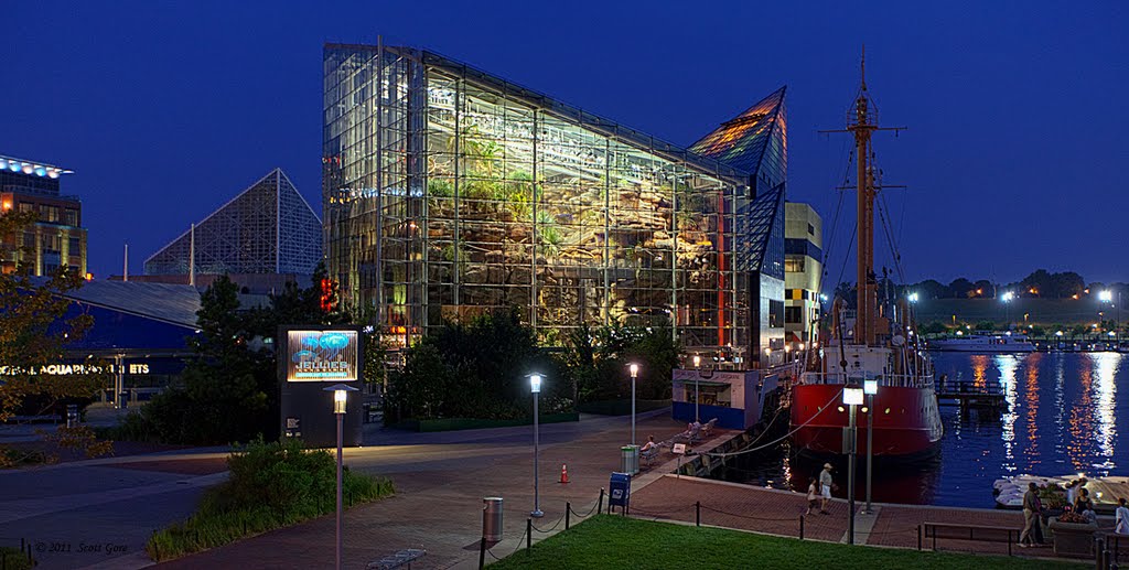 Baltimore Inner Harbor:  National Aquarium, Atrium, Балтимор