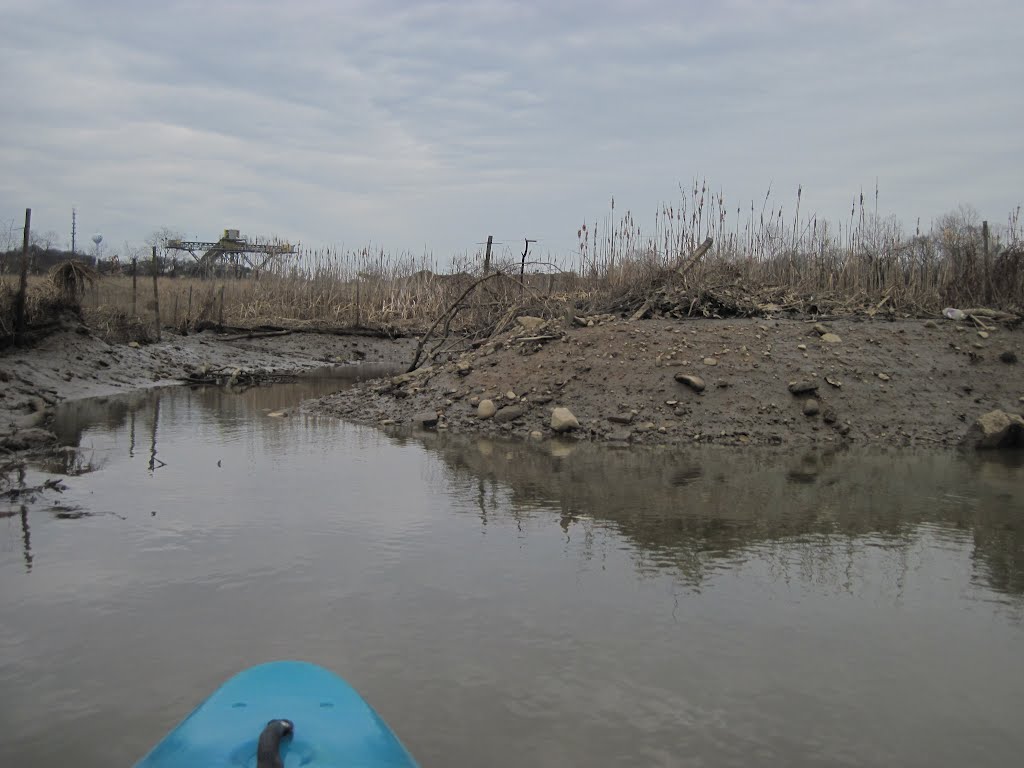 exploring a tidal marsh channel 3, Брентвуд