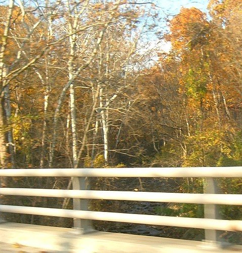 Creek crossing Clara Barton Parkway, Bethesda, Maryland, USA, Брукмонт