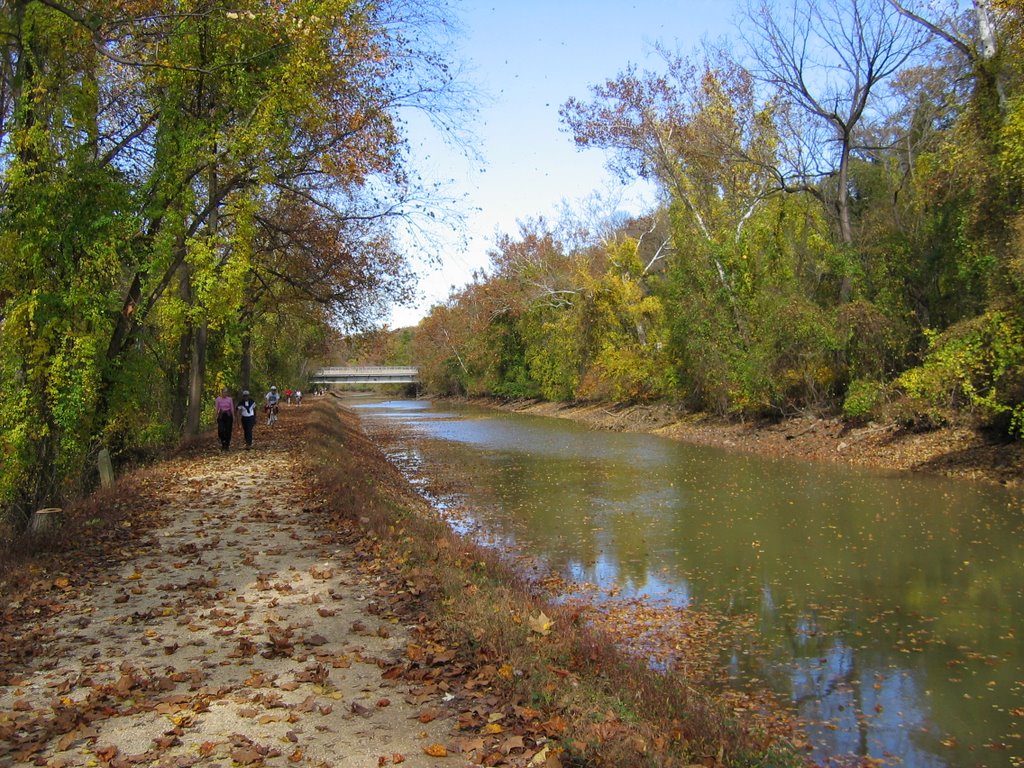 DC, C&O Canal, October 31, 2004, Брукмонт
