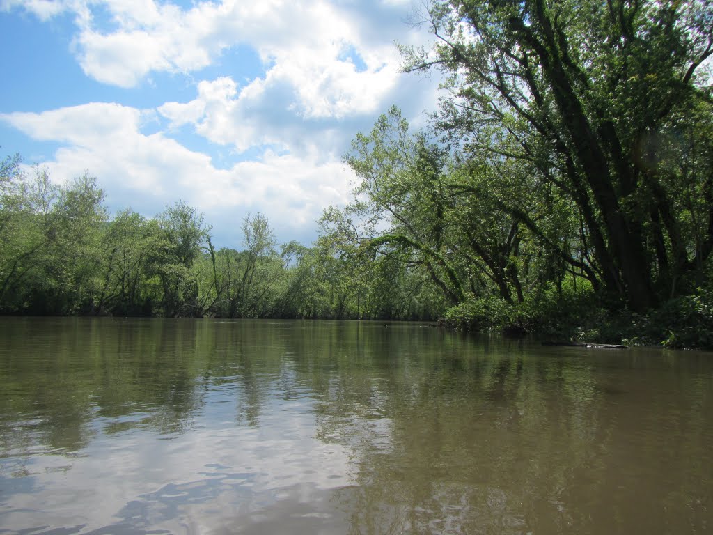 Sunny day on the north branch of the potomac, Камберленд