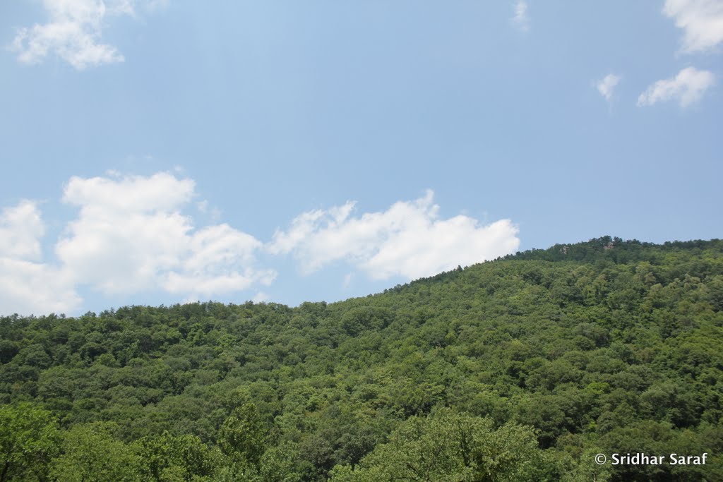 Allegheny Mountains, Maryland (USA) - June 2010, Камберленд