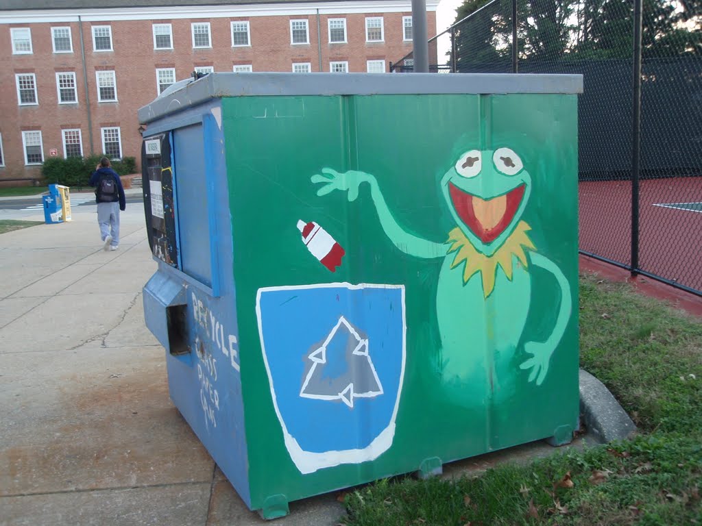 Kermit is green, Колледж-Парк