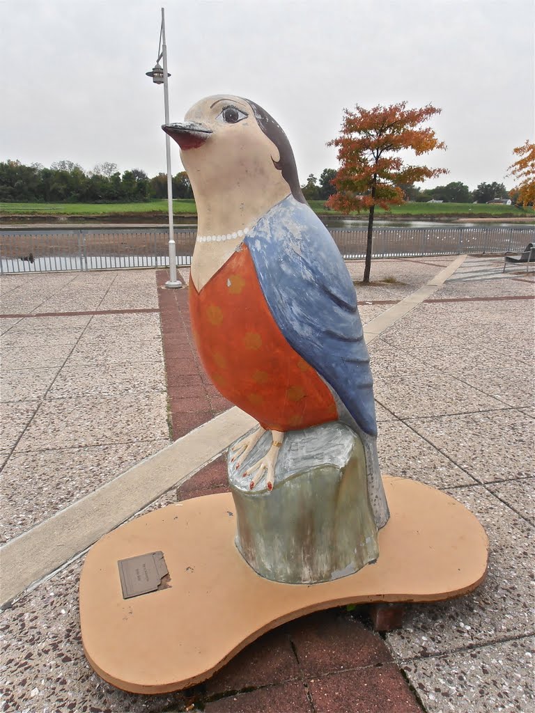 Bladensburg bird 4, Коттедж-Сити