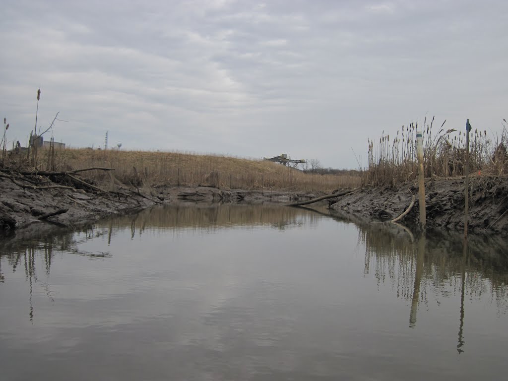 exploring a tidal marsh channel 1, Коттедж-Сити