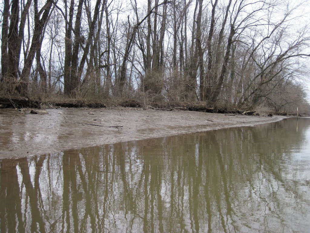the smooth mucky muddy banks of the Anacostia in low tide, Норт-Брентвуд