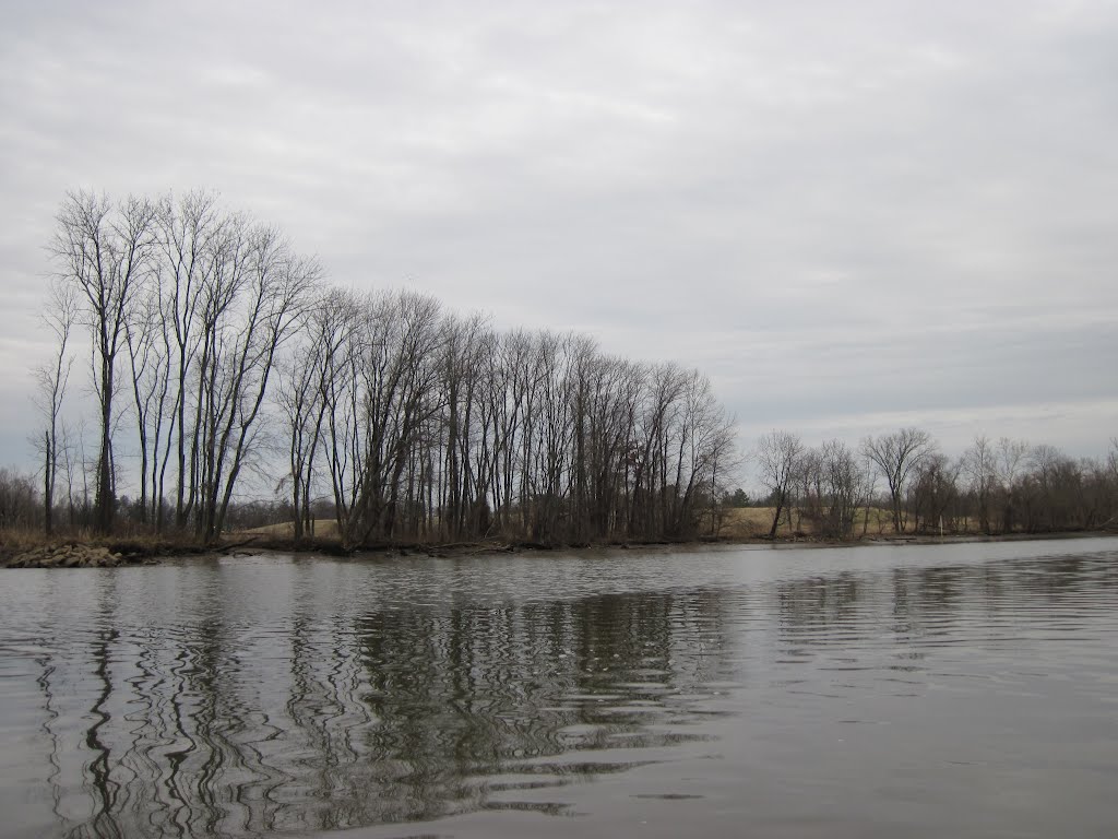 riparian trees with a matted grey background, Норт-Брентвуд