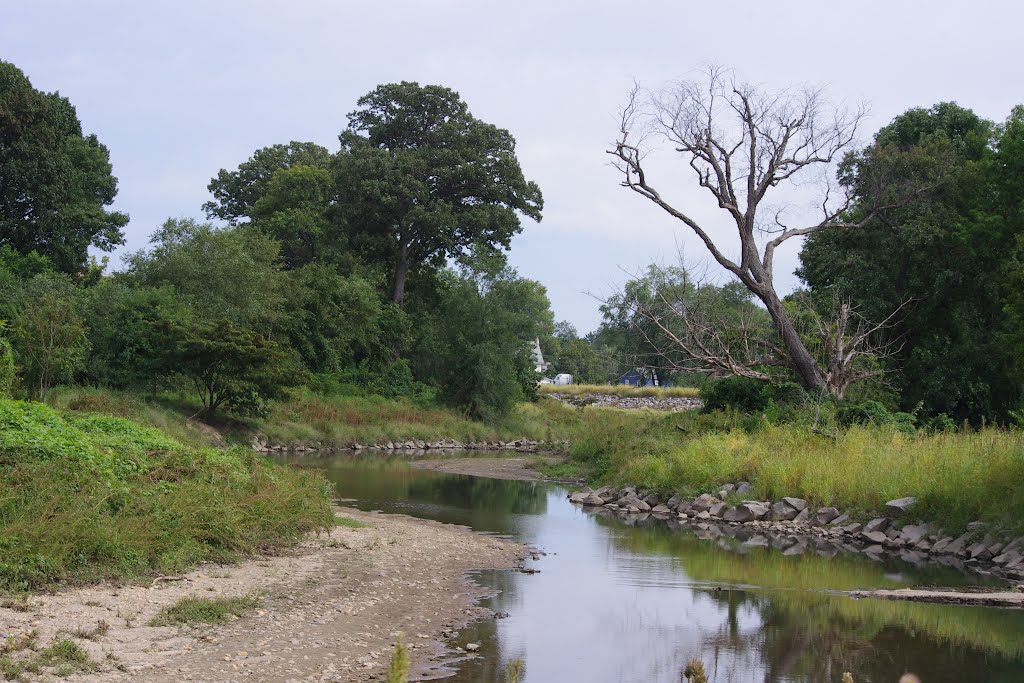 Tree and creek, Норт-Брентвуд