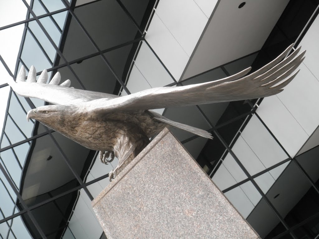 stainless steel eagle and detailed geometry, Роквилл