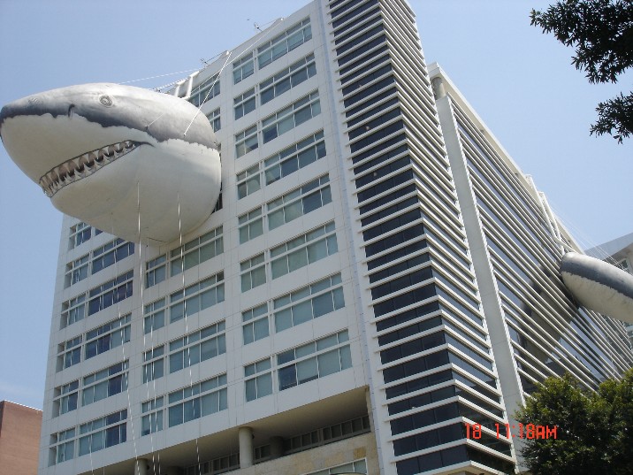 Shark Week 2006 #8, Силвер Спринг