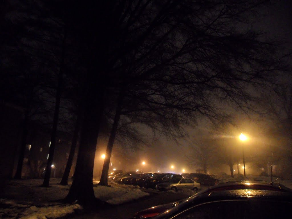 Towson Apartments Night Fog, Таусон