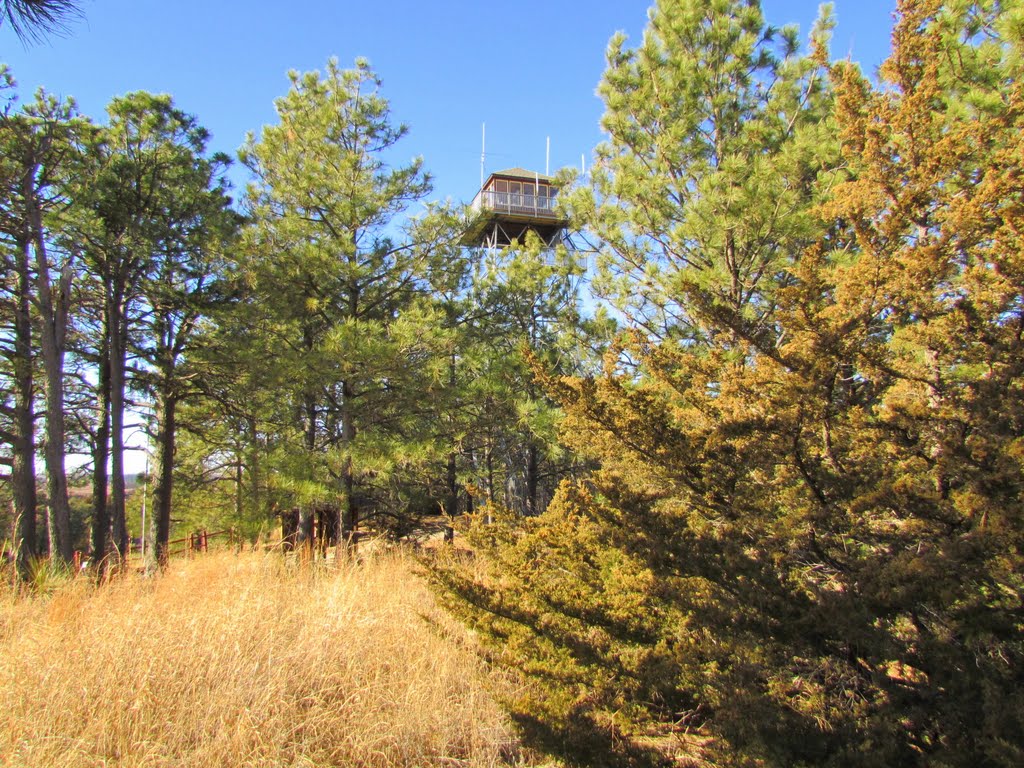 Viewing west-north-westerly toward the Scott Fire Lookout off the side of the terminus of Nebraska State Spur Hwy. 86B. In the Bessey Unit of the Nebraska National Forest, Halsey, Nebraska, Беллив