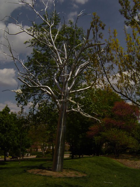 Metal Tree, Линкольн
