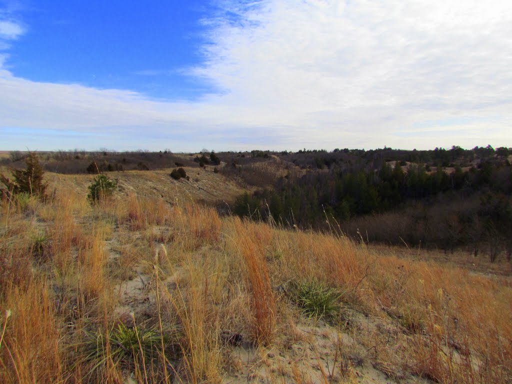 Viewing easterly, from atop a rim next to a muzzleloading range, off Nebraska State Spur Hwy. 86B, in the Bessey Unit of the Nebraska National Forest. Halsey, Nebraska, Оффутт база ВВС