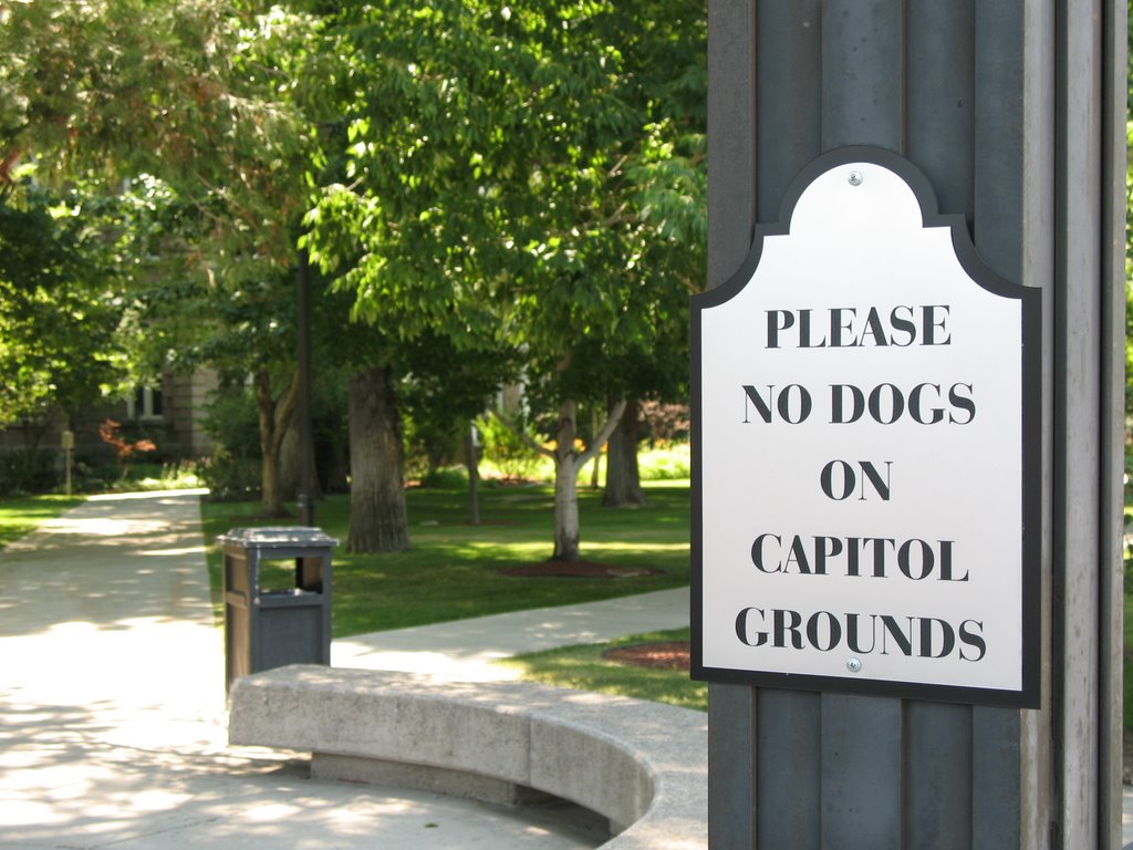 Please No Dogs, Карсон-Сити