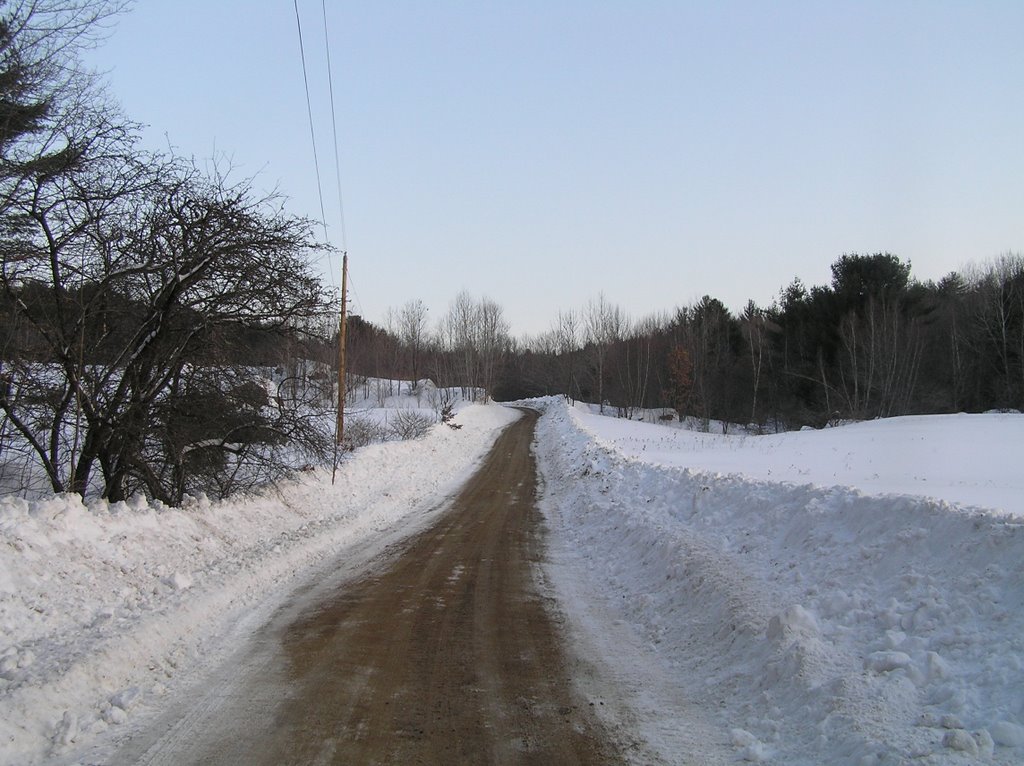 Lambert Road to Homestead Forest, Вольфеборо