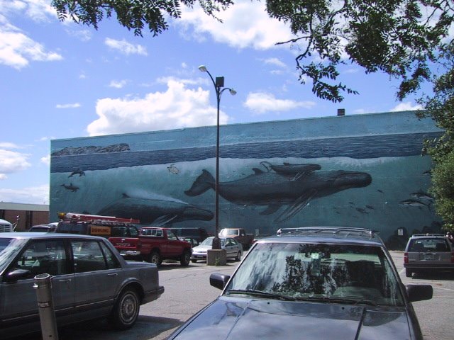 Whales, Портсмоут