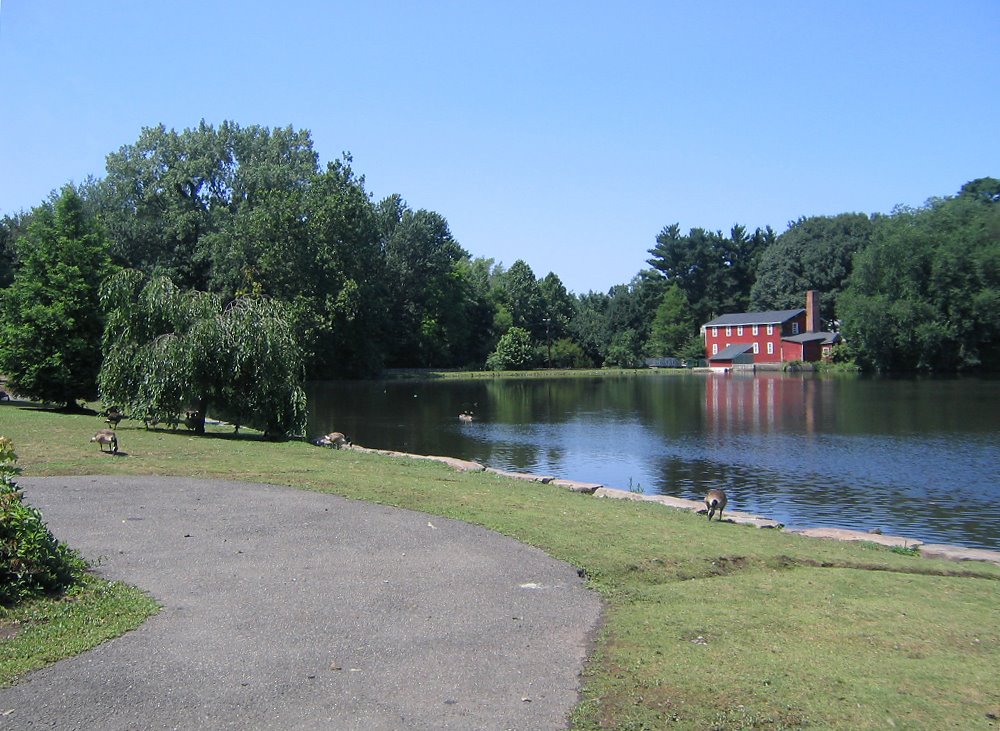 Coopers Pond, Бергенфилд