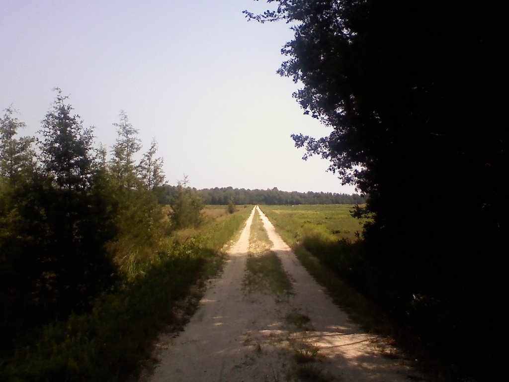 The Road to Nowhere, Беркли