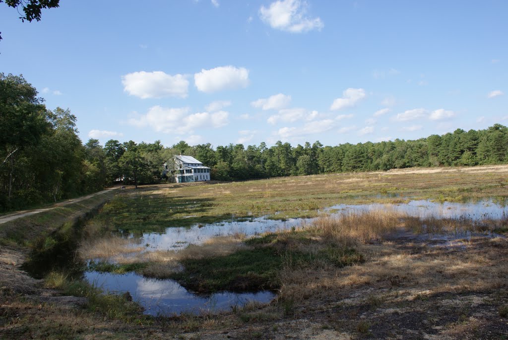 Cranberry Bog at Double Trouble State Park - NJ, Бичвуд