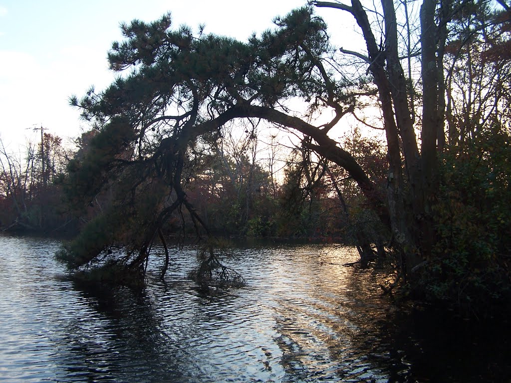 Metedeconk River, Брик