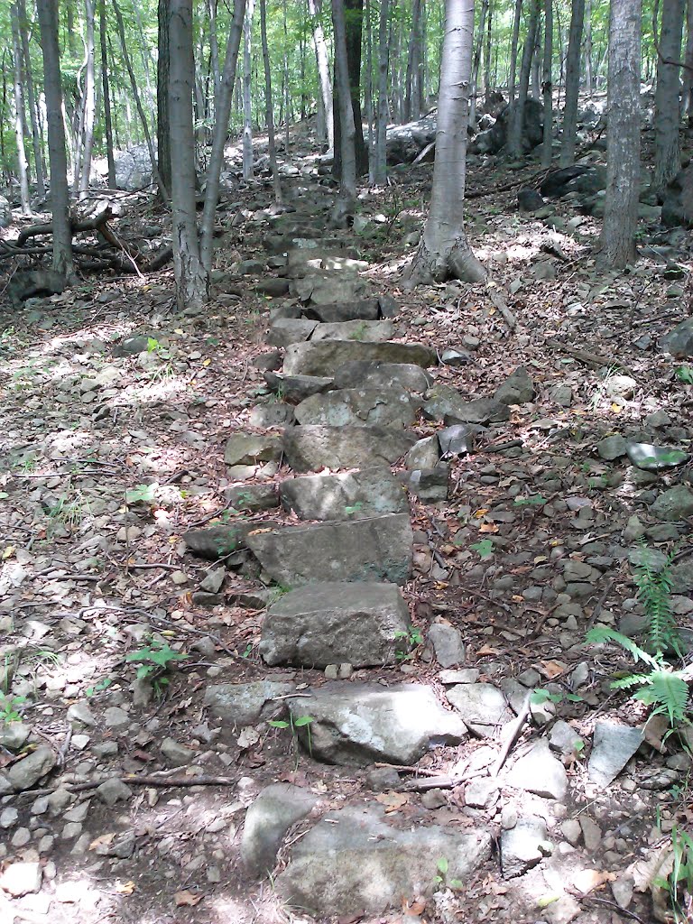 Watnong Mountain stone steps, Денвилл