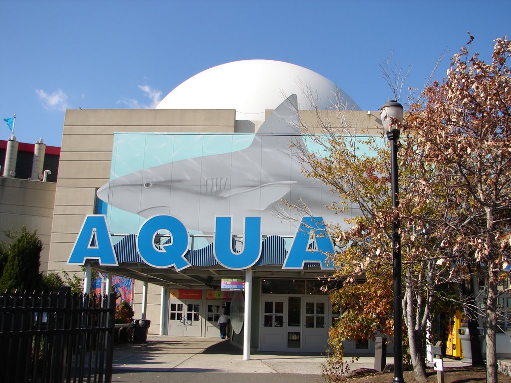 Adventure Aquarium, Camden, NJ, Камден