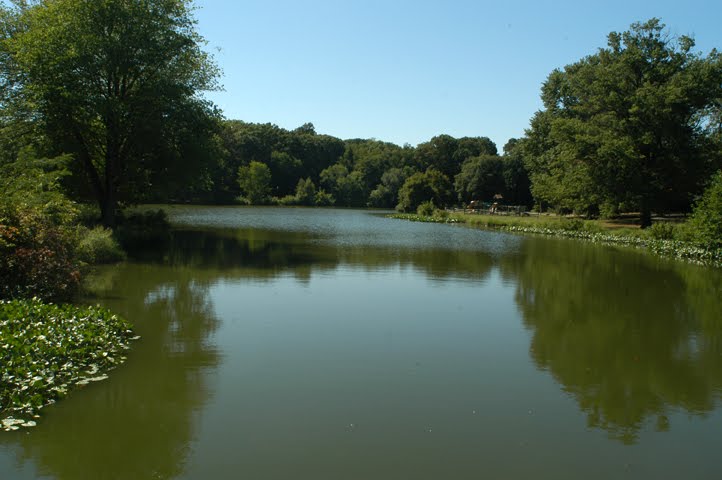 Newton Creek At Lees Lane, Коллингсвуд