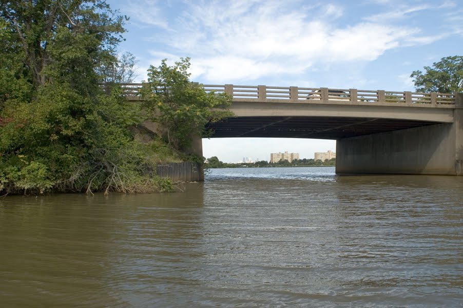 Cooper River Above Cuthbert Blvd, Коллингсвуд