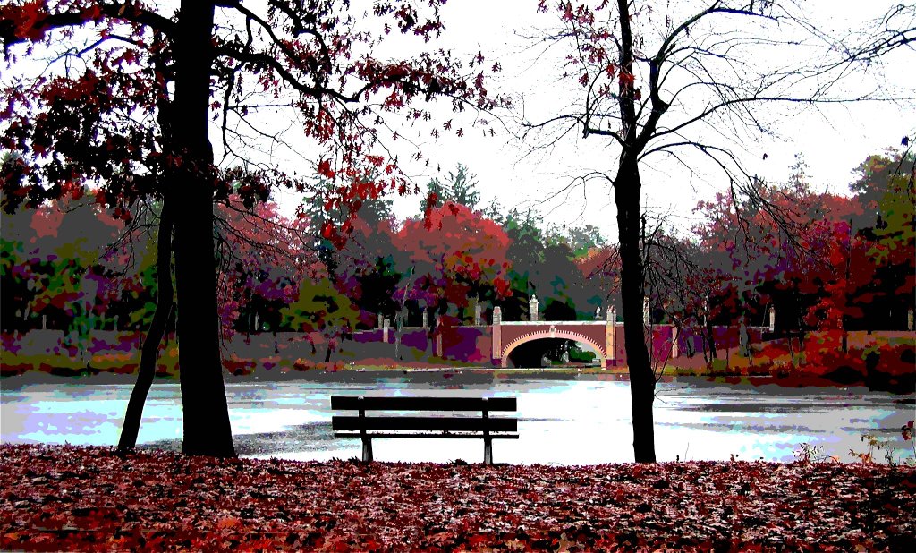 Lake and bench Paint, Лейквуд