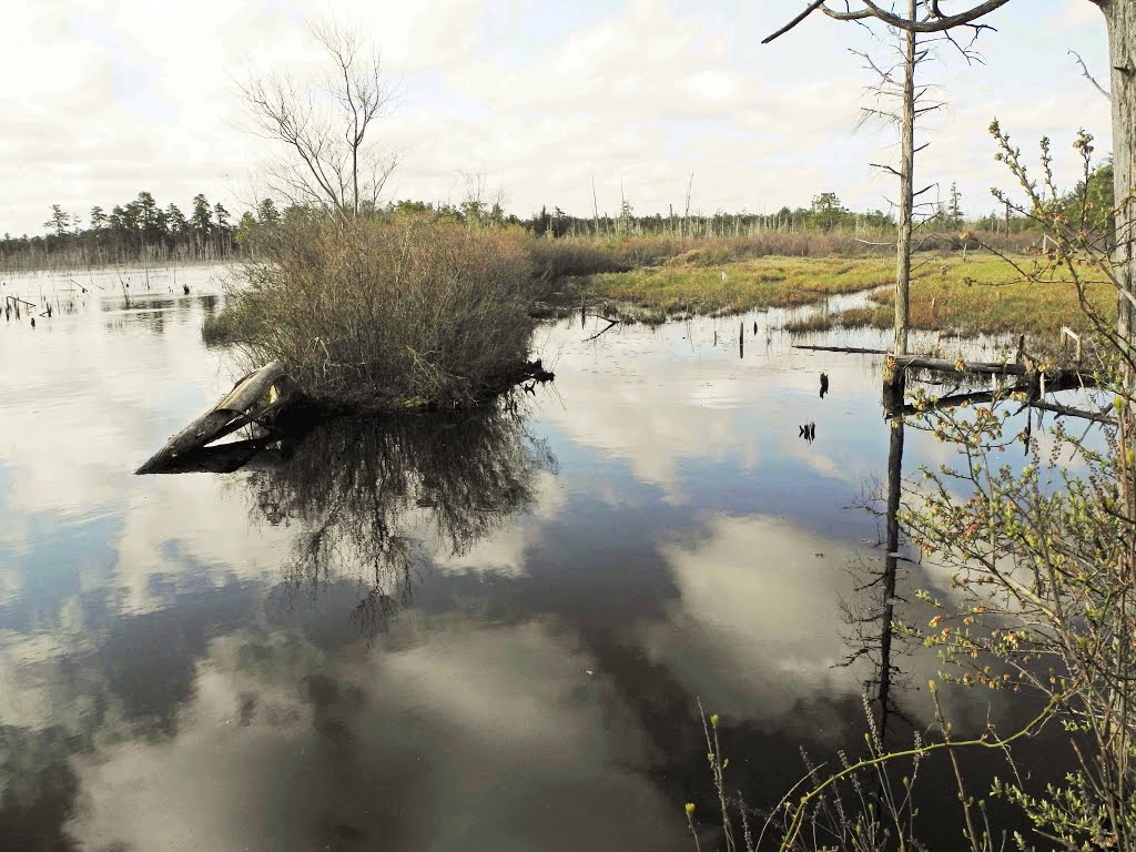 Horicon Lake: Swamp, Лейкхарст