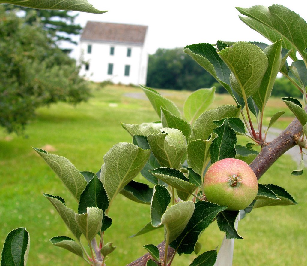 Apples and Revolutionary House, Марлборо