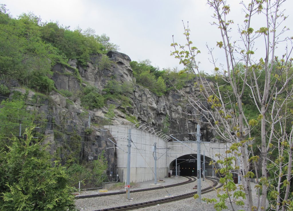 Bergenline Tunnel, Норт-Берген