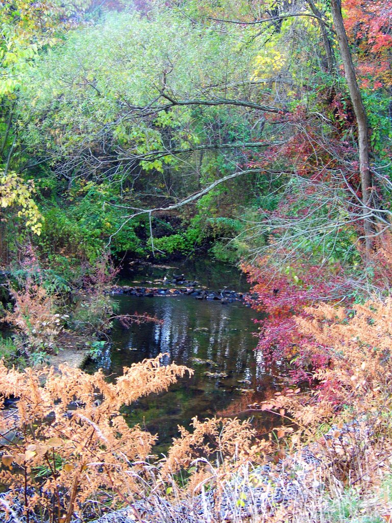 The creek, Пайн-Бич