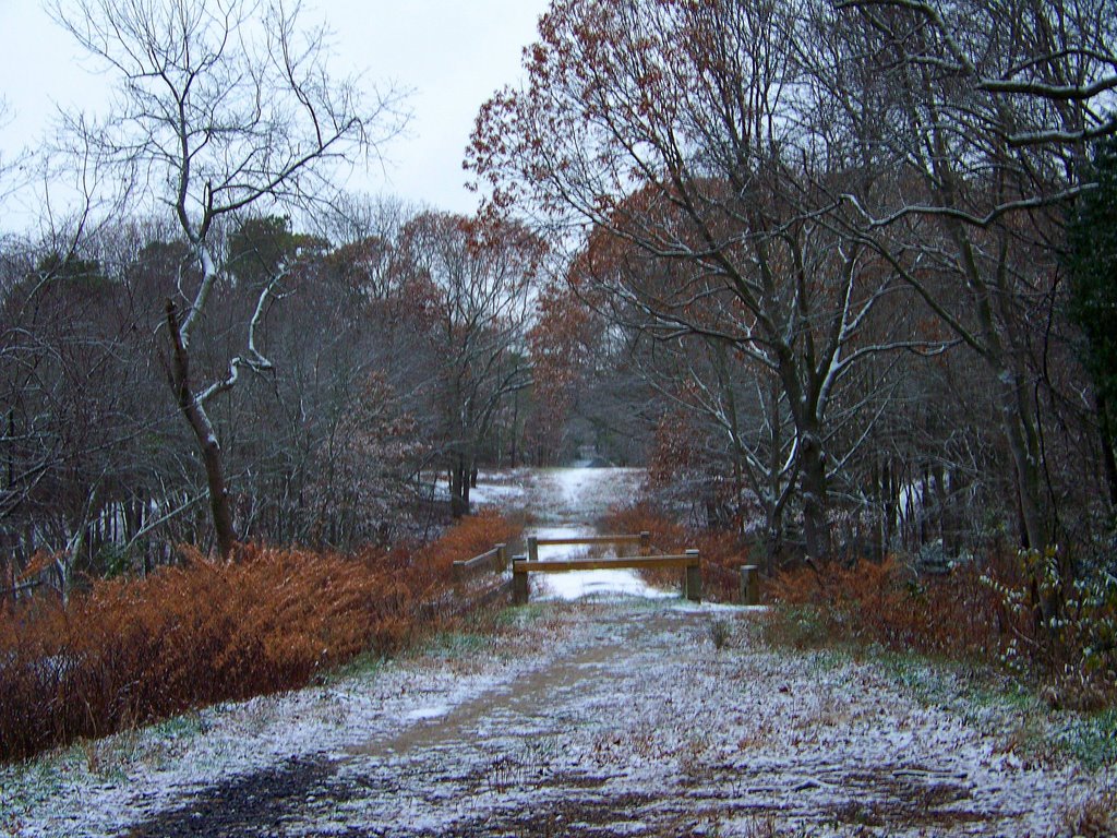 Light dusting of snow, Пайн-Бич