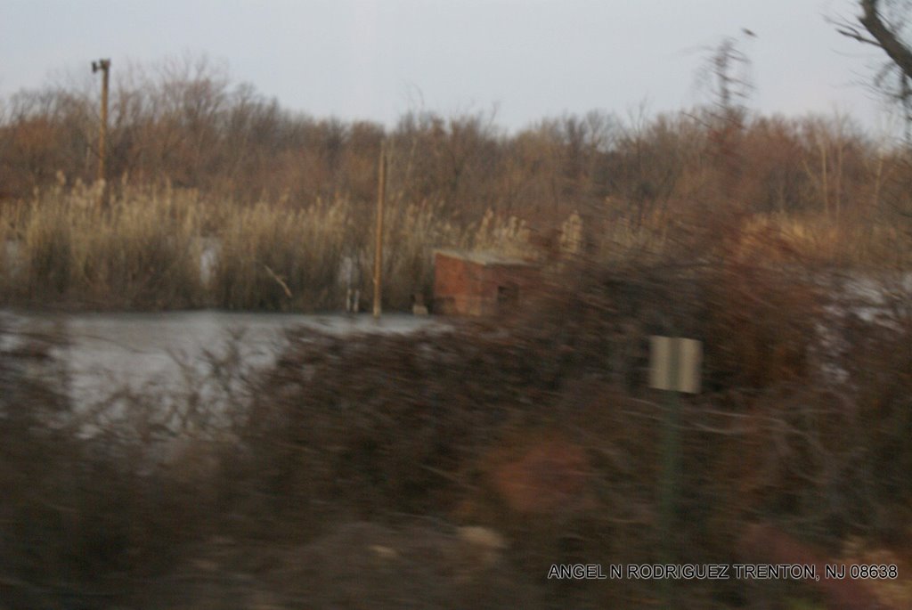 View from the Riverline, Пальмира