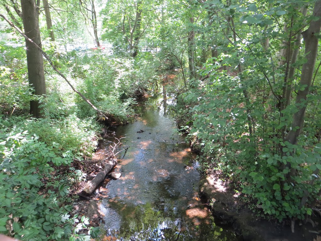 Creek, Парамус