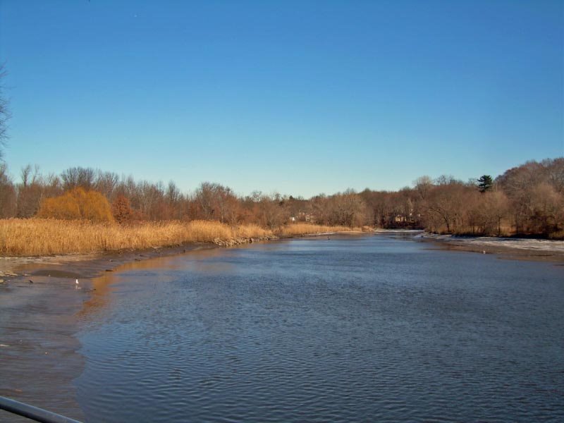 Hackensack River Park, Тинек