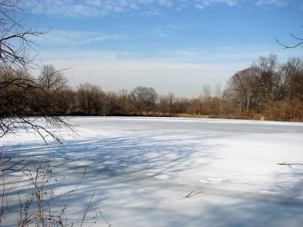 Frozen Indian Pond, Тинек
