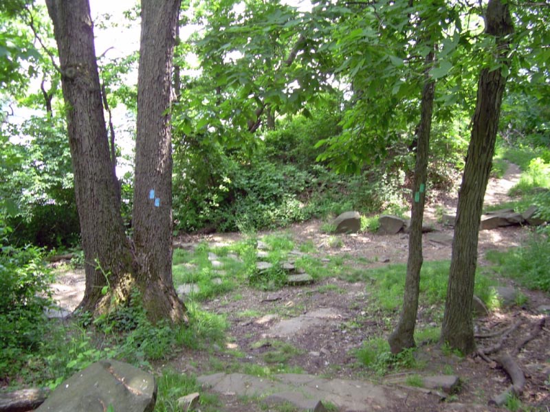 Palisades State Park, Форт-Ли