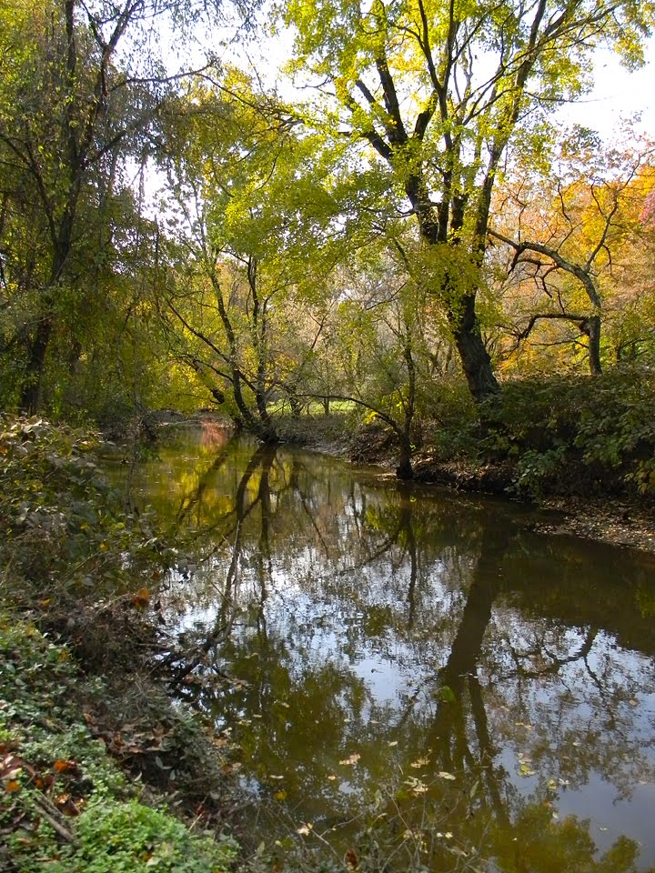 Cooper River at Cooper River Park, Fall, Черри-Хилл