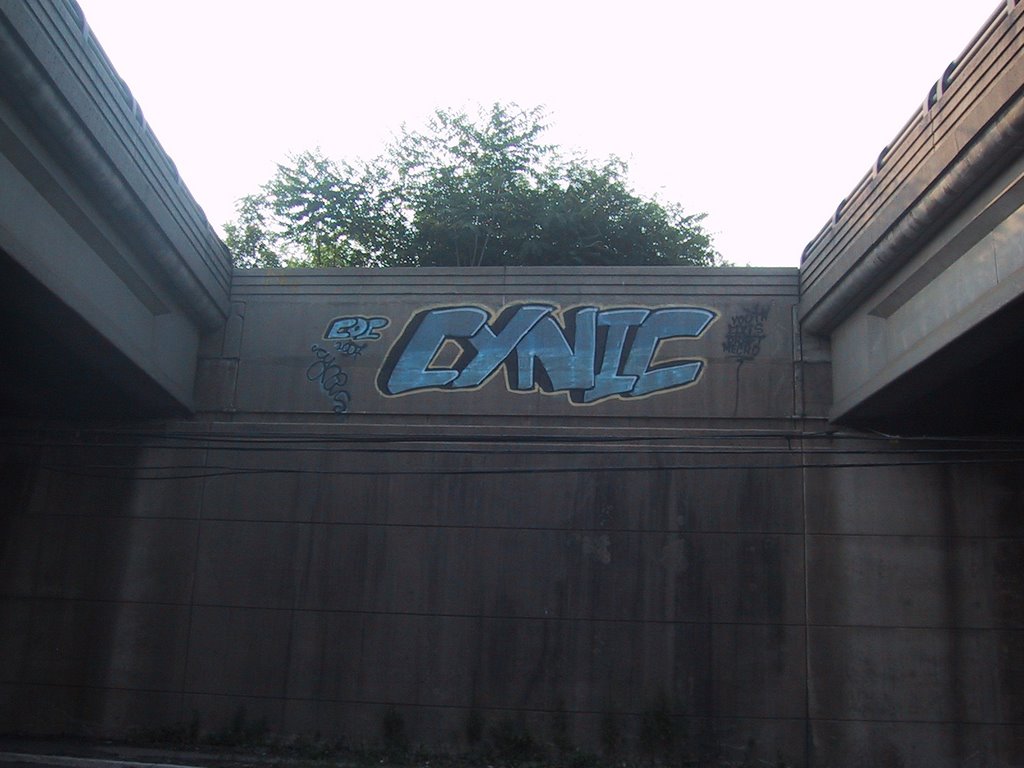 Graffiti under the Route 287 bridge on Route 27, Эдисон