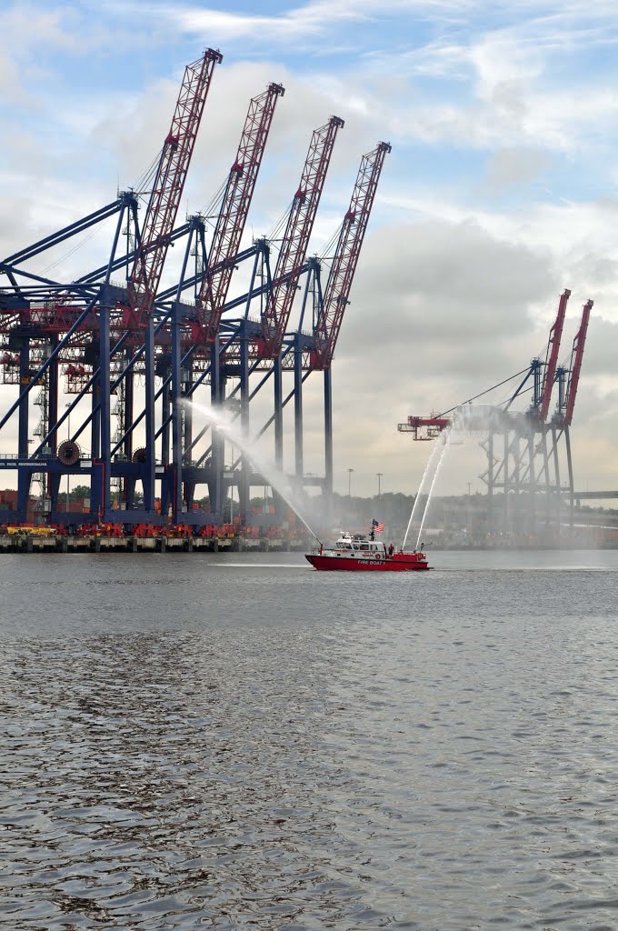 NY Container Terminal Cranes, Arthur Kills, Арлингтон