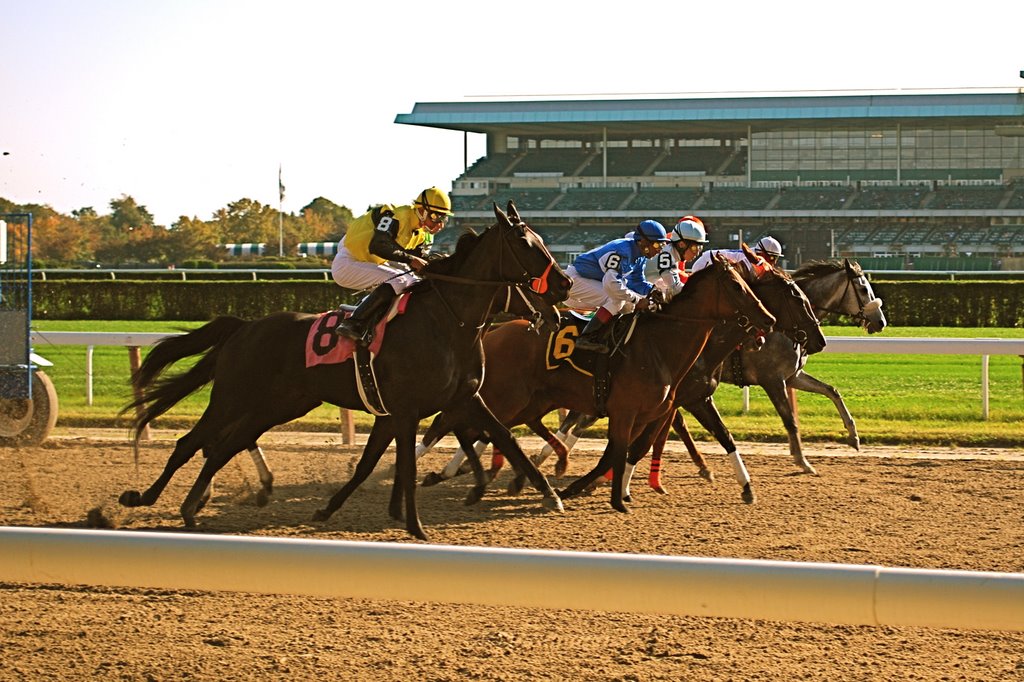 Out of the Gate At Belmont Racetrack, Беллероз