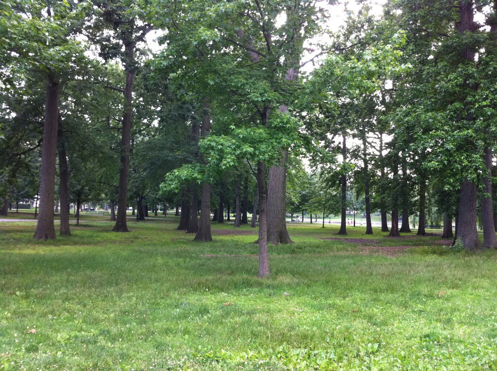 Trees in the park, Броквэй