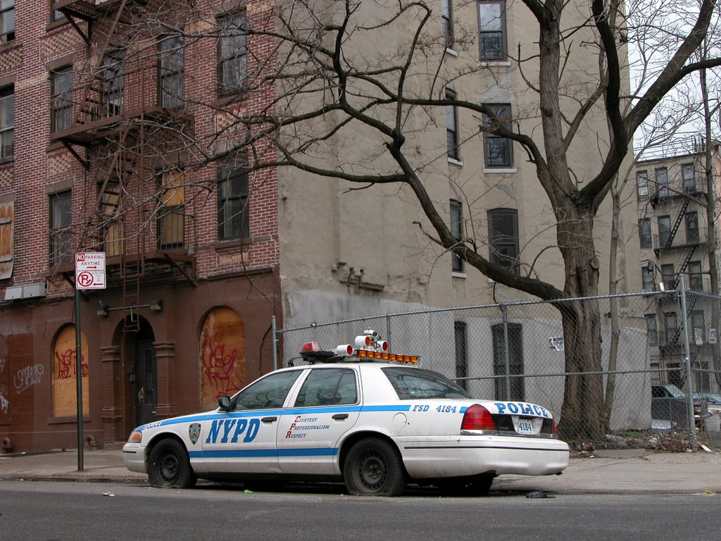 Harlem NYPD, Бронкс