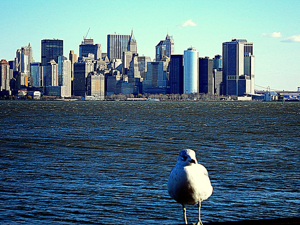 Architecture and Construction..."Waiting for Thomas," by M. M., welcome to New York in the company of seagull!.   PANORAMIO FOREVER, Бруклин